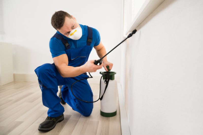 Centipede Extermination in Arlington, TX