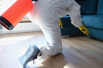Fumigation Service in Long Island, NY