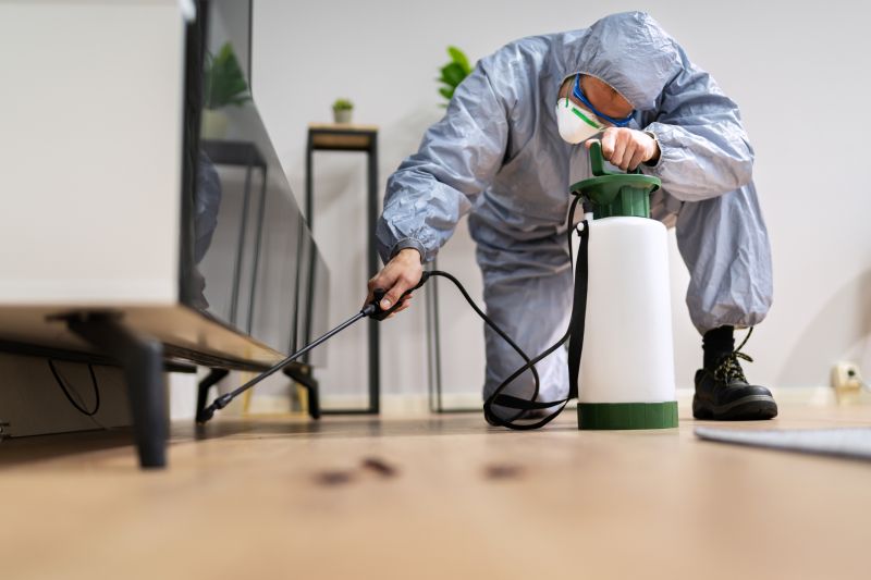 Residential Fumigation in Cumming, GA